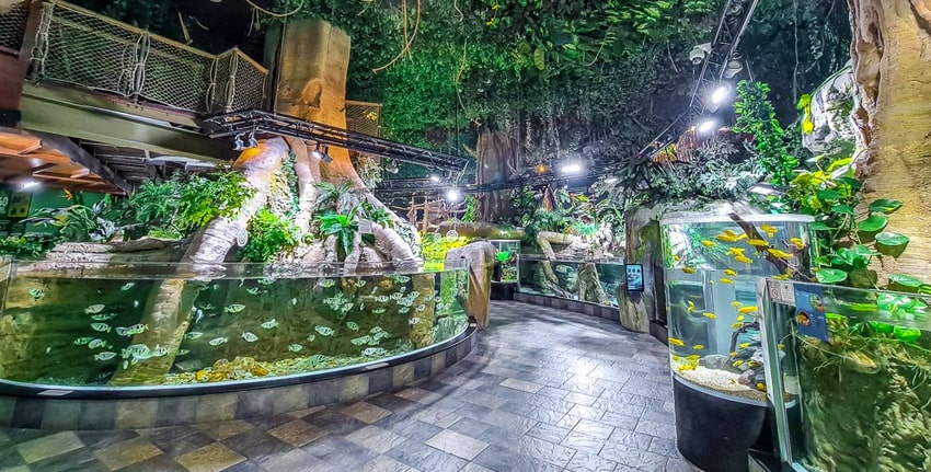 Dubai-Aquarium-and-Underwater-Zoo-min-1