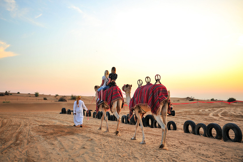 Book Morning Desert Safari Dubai Unforgettable Adventure