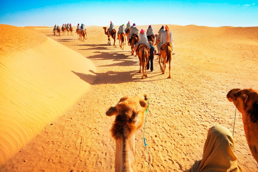 Desert Safari Bus Pick Up Book Online