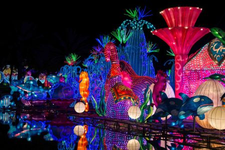 Uncovering the Wonders of Dubai Garden Glow  Review