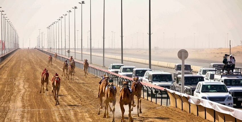 Dubai-Camel-Racing-Track-Al-Marmoom