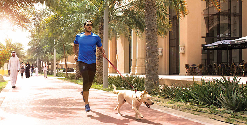 Palm West Beach in Palm Jumeirah for dogs