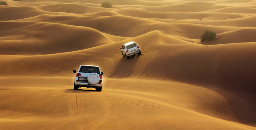 Desert Safari Tour