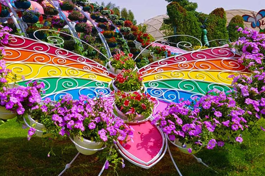 Dubai Butterfly Garden Ticket