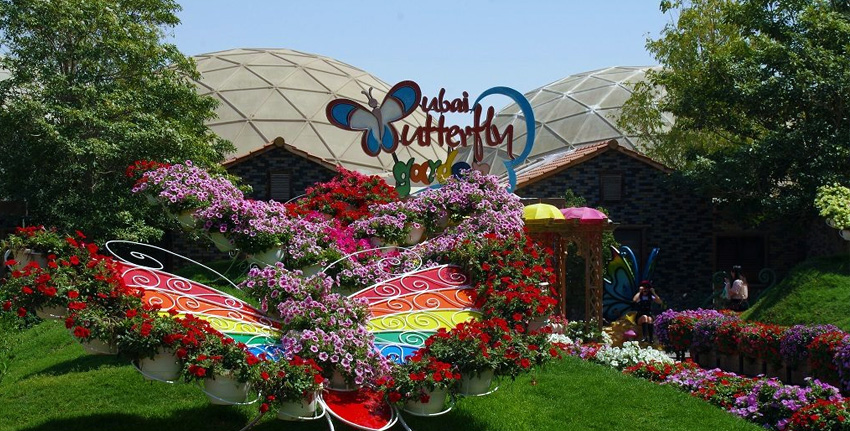 Dubai Butterfly Garden Ticket – Best Offers & Deals for 2023