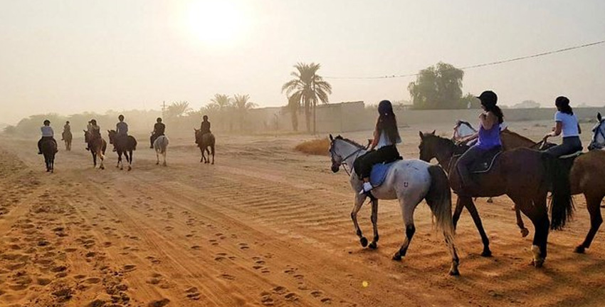 Horse Riding Experience uae