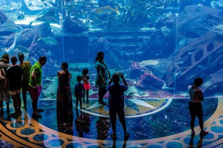 Buy Dubai Aquarium Lost Chamber Ticket online  | Atlantis palm