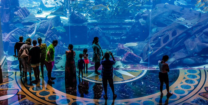 Buy Dubai Aquarium Lost Chamber Ticket online  | Atlantis palm