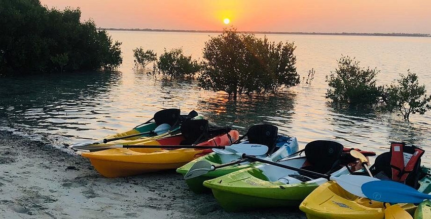 Paddle through the Mangroves and Relax on dubai