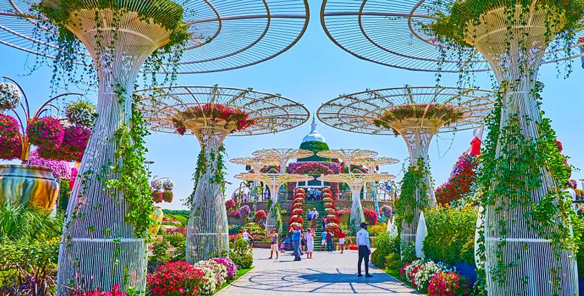Dubai Butterfly Garden Ticket – Best Offers & Deals for 2023