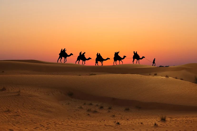 Camel caravan crossing desert dunes at sunset near Dubai