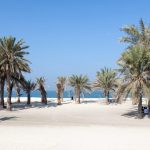 Umm Al Quwain Day Trip from Dubai: Full Guide