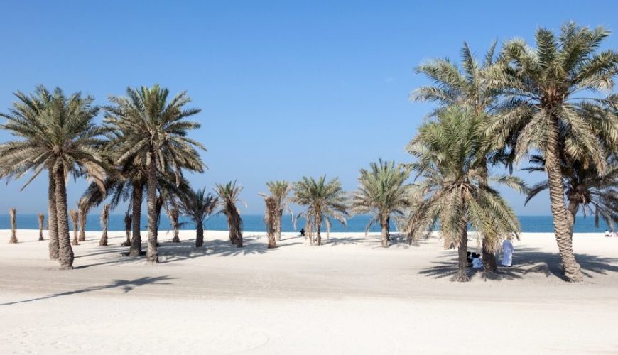 Umm Al Quwain Day Trip from Dubai: Full Guide