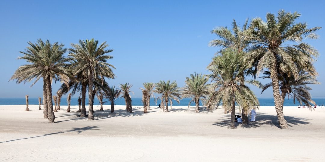 Umm Al Quwain Day Trip from Dubai: Full Guide