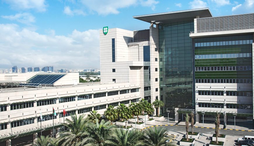 Malek Sultan Al Malek to Chair Dubai Healthcare City