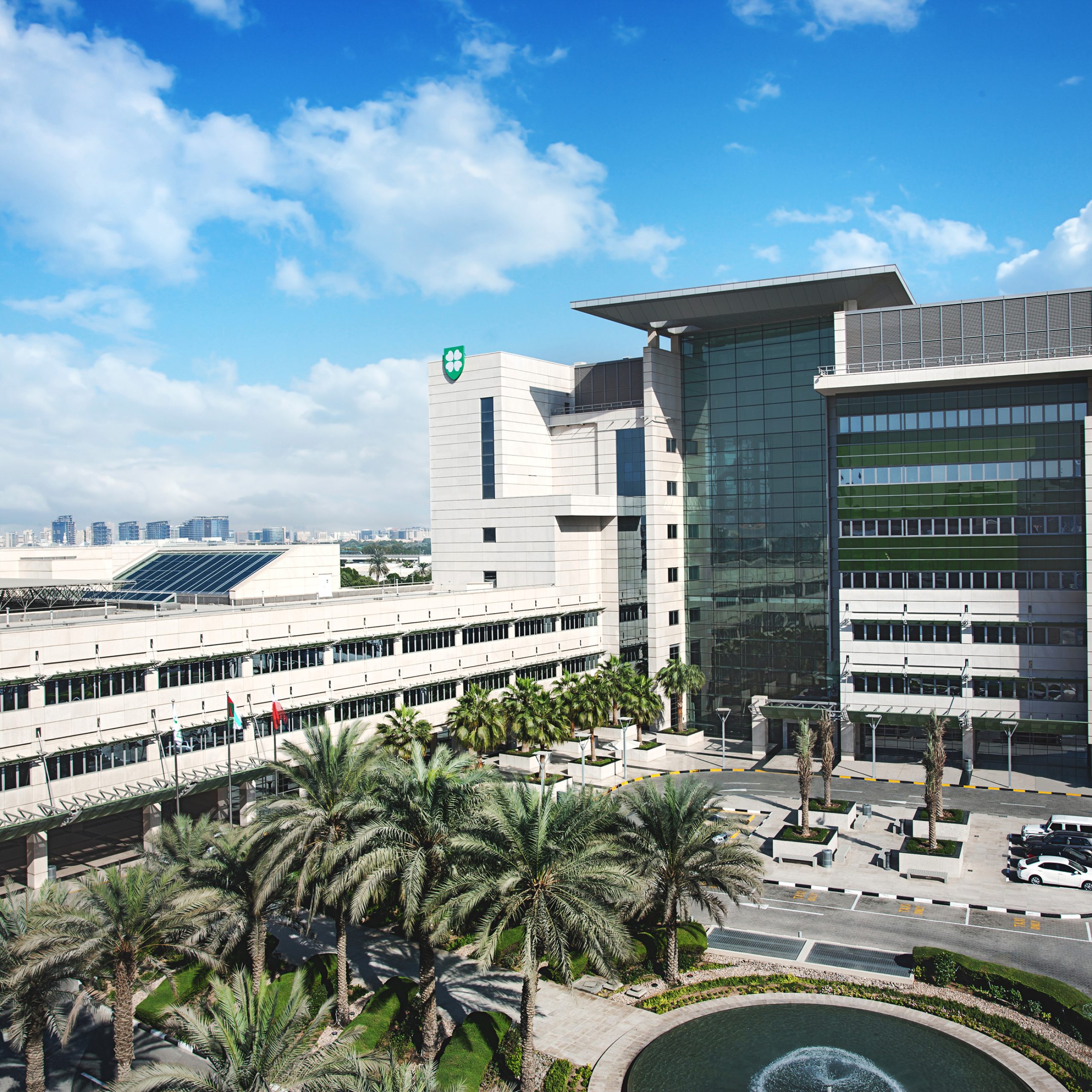 Malek Sultan Al Malek to Chair Dubai Healthcare City
