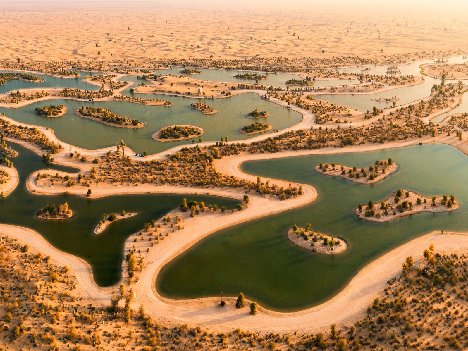 One of the Al Qudra lakes in the desert reserve