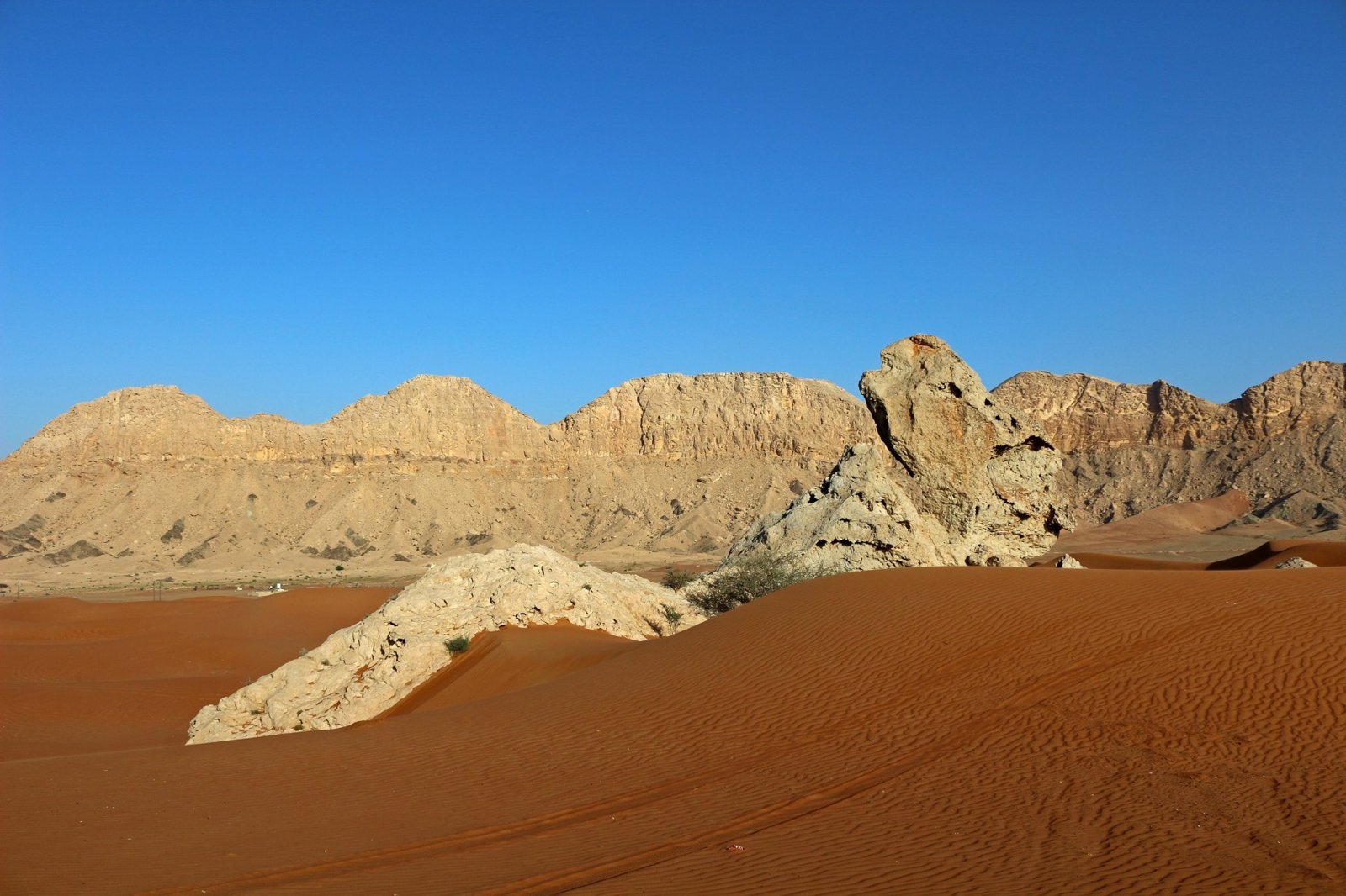 Camel Rock formation in the Mleiha desert