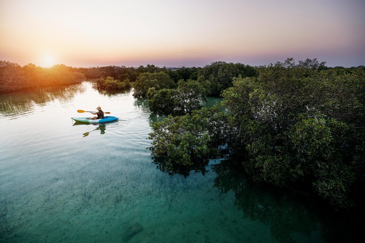 Kayaking through calm mangrove channels in the UAE