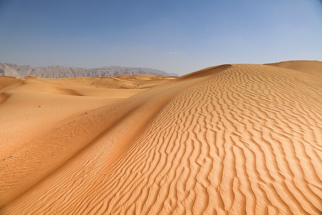 Dunes stretching toward the mountains near Mleiha