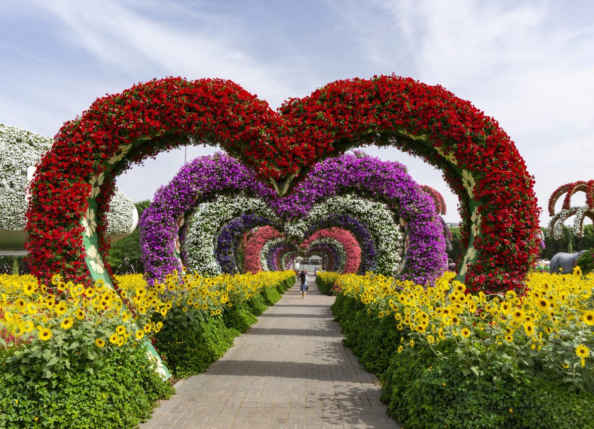 Heart-shaped flower arches at Dubai Miracle Garden with visitors walking beneath