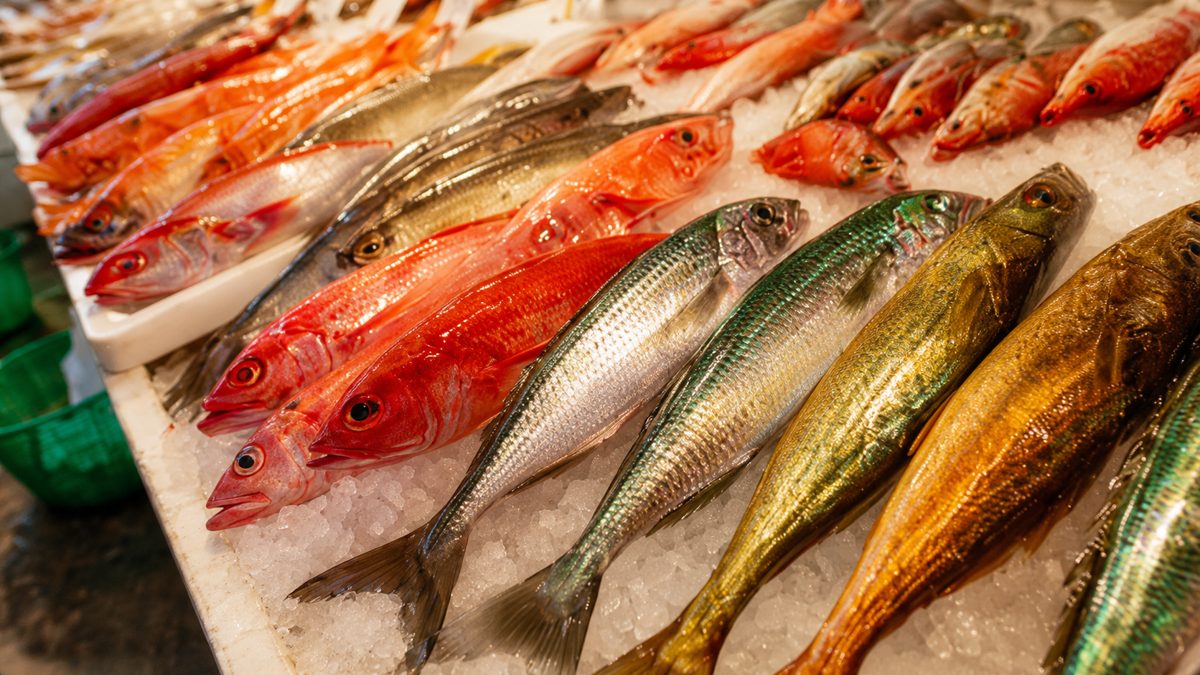 Fresh fish and seafood on display at a traditional fish market