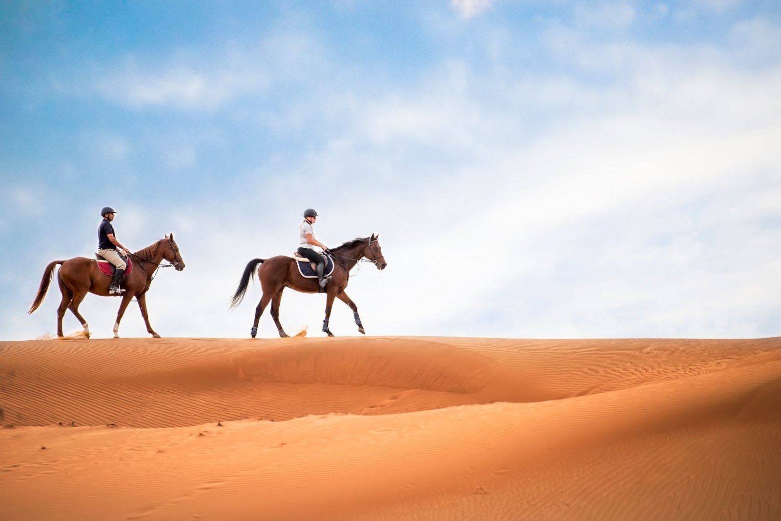 Horse riding in the desert in the UAE