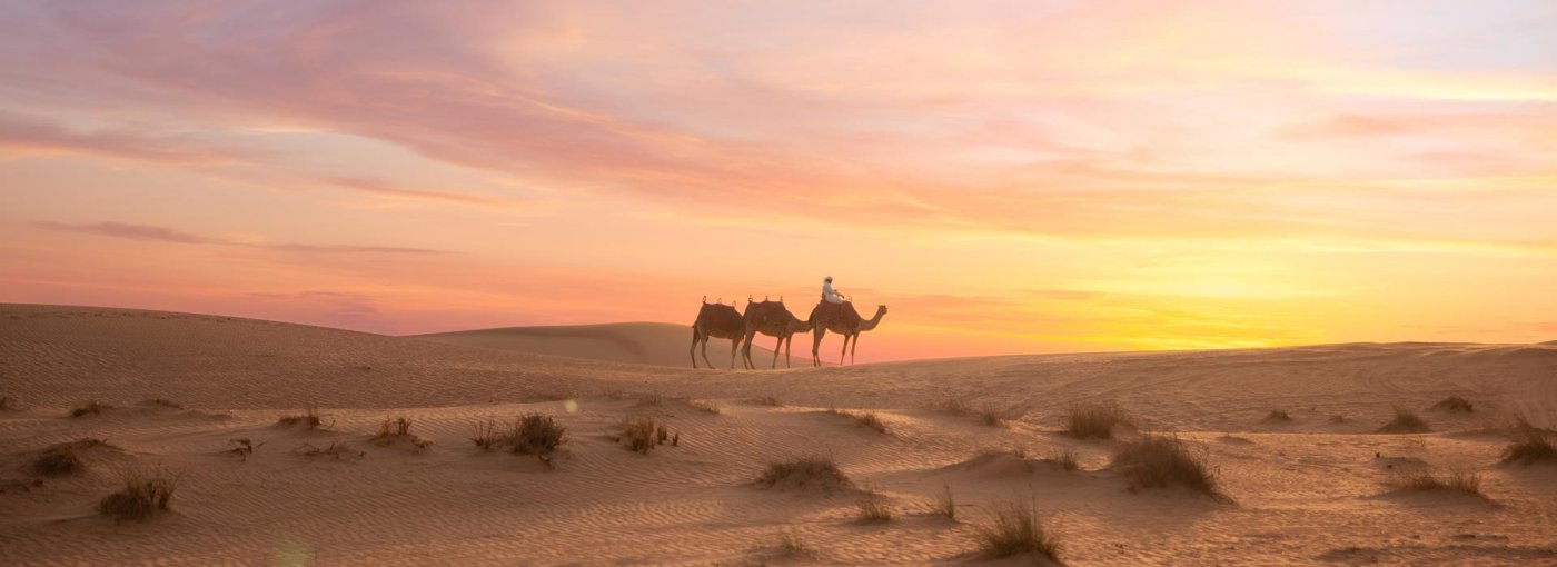 Golden light across desert dunes near Sharjah in the late afternoon