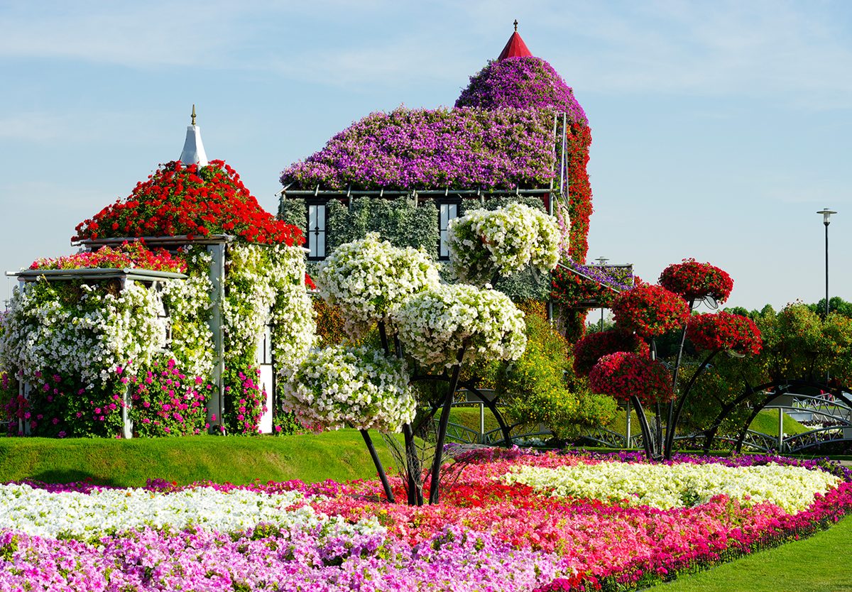 Colourful flower displays and floral sculptures at Dubai Miracle Garden