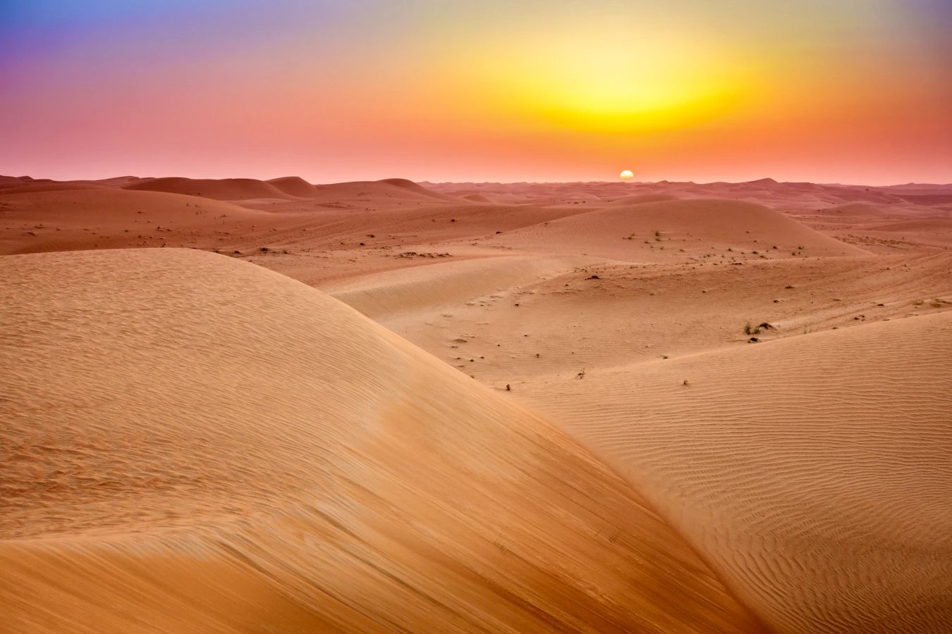 Empty desert dunes near Dubai in soft sunrise light